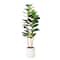 5ft. Fiddle Leaf Tree in Decorative White Planter